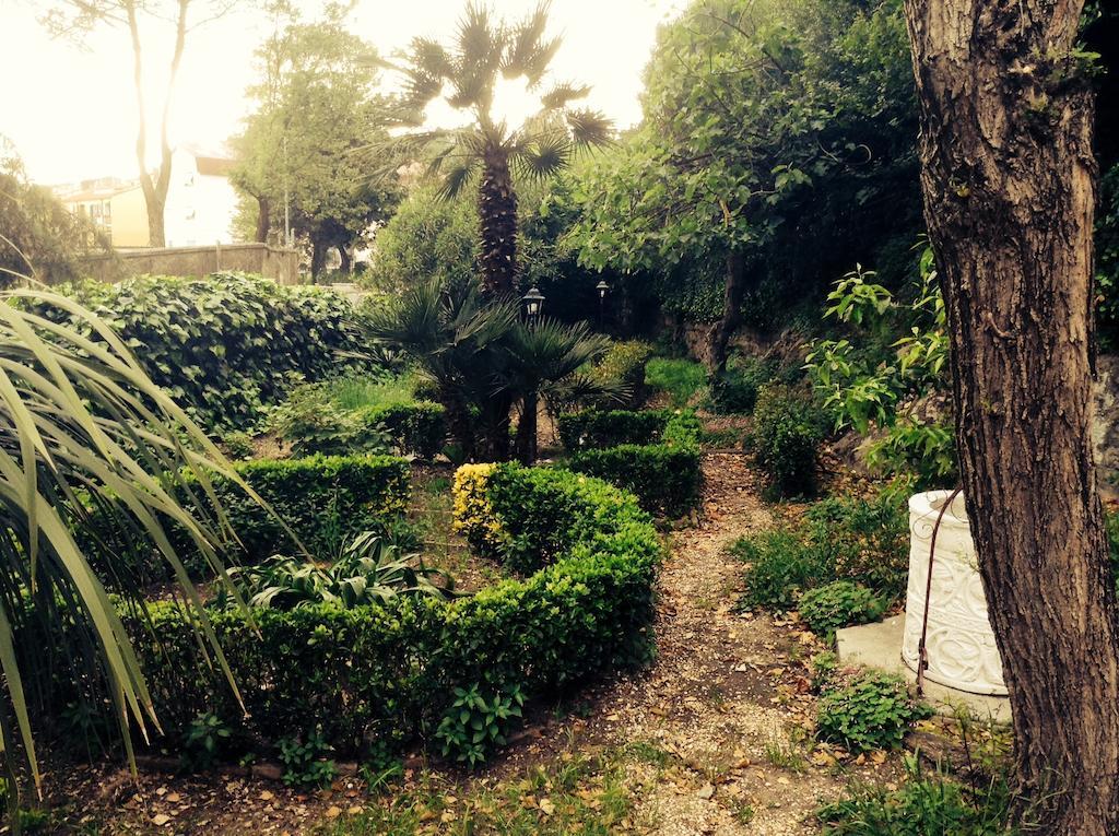 Casa de hóspedes Drusilla *